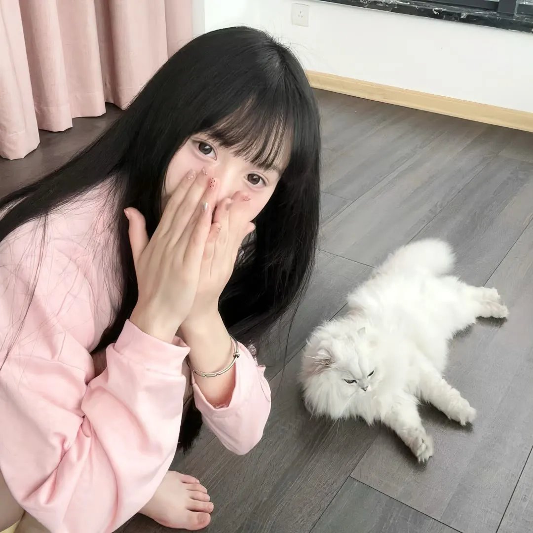 奇舞飞扬